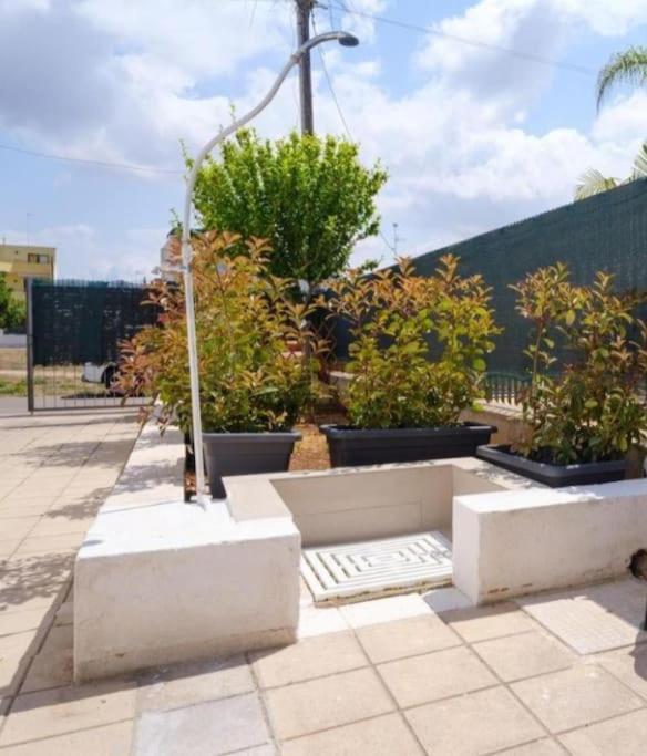 Casa Blasco Porto Cesareo Exteriör bild